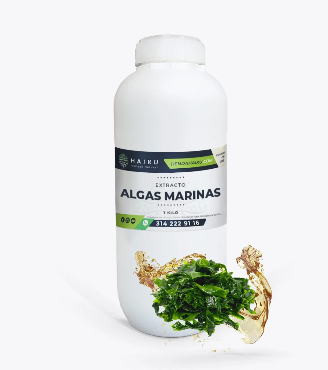 ALGAS-MARINAS-EXTRACTO