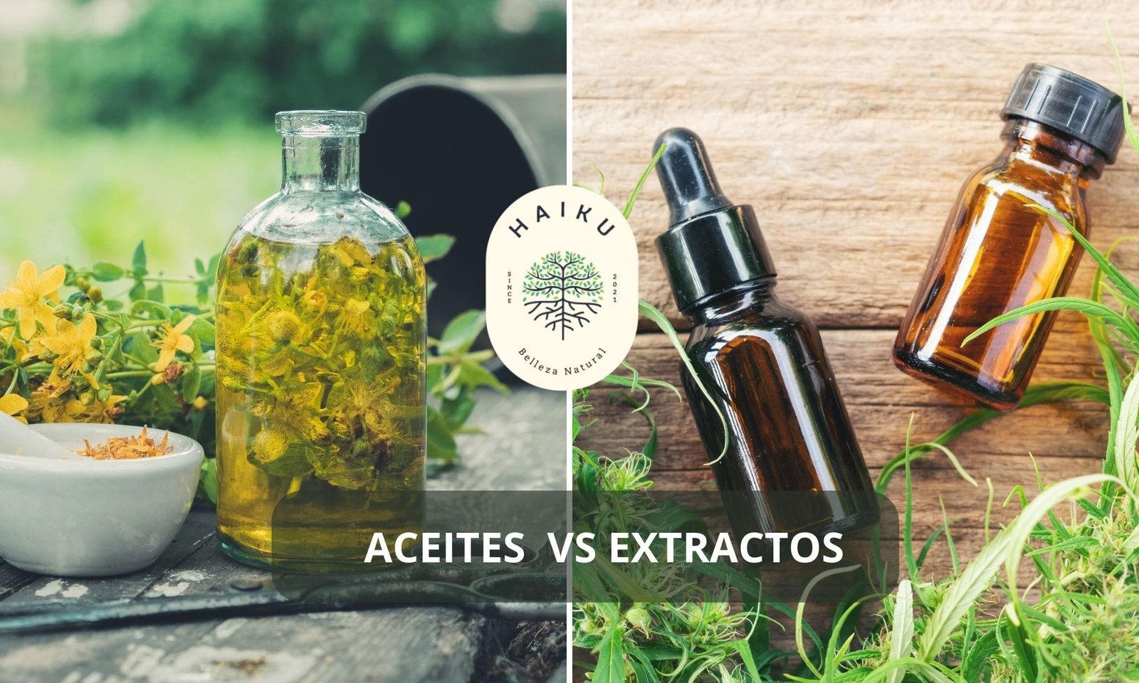 Extractos Naturales VS Aceites Vegetales - Haiku