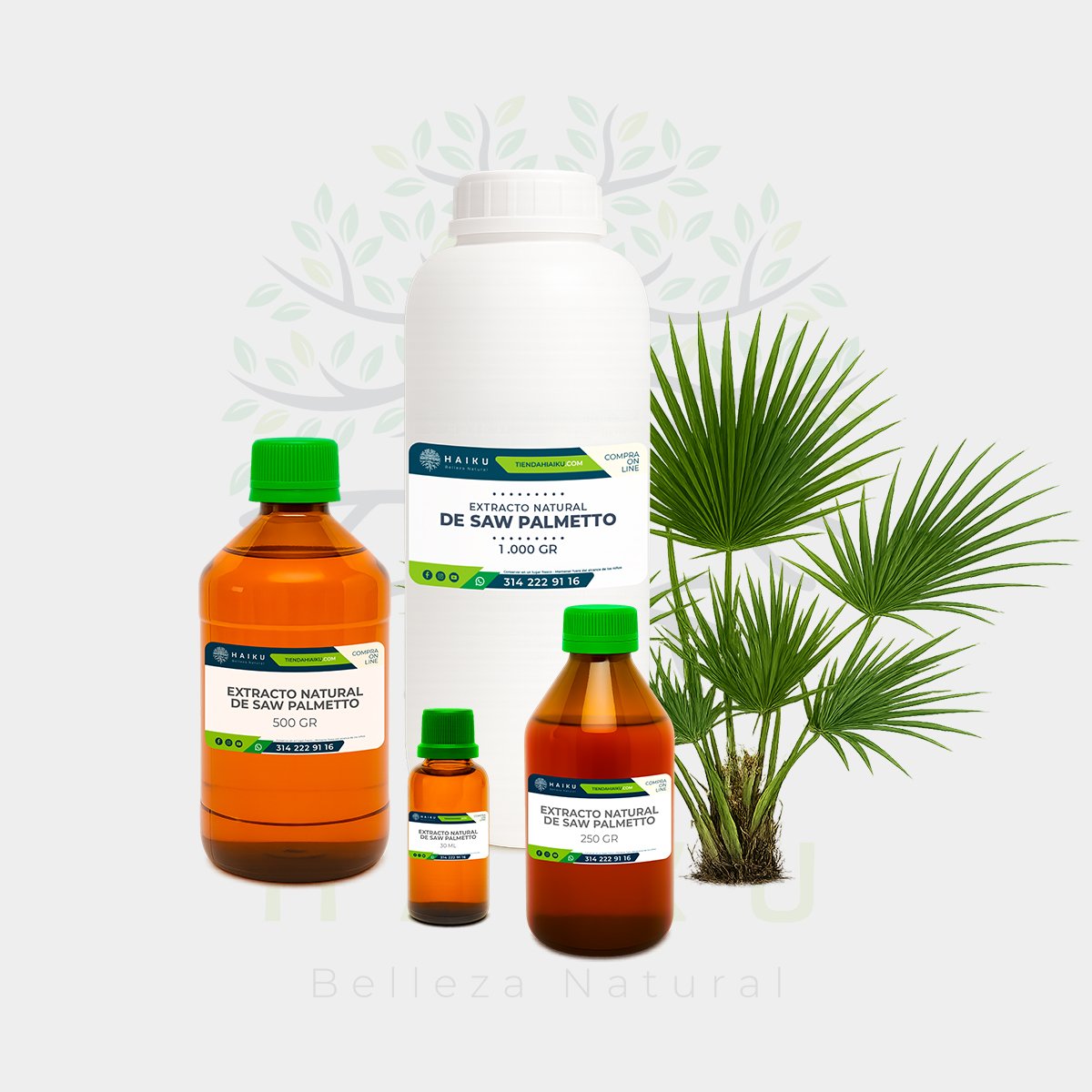 Extracto Natural Saw Palmetto