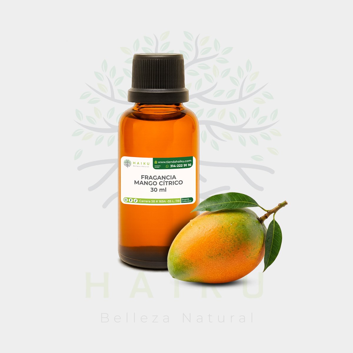 FRAGANCIA MANGO CITRICO
